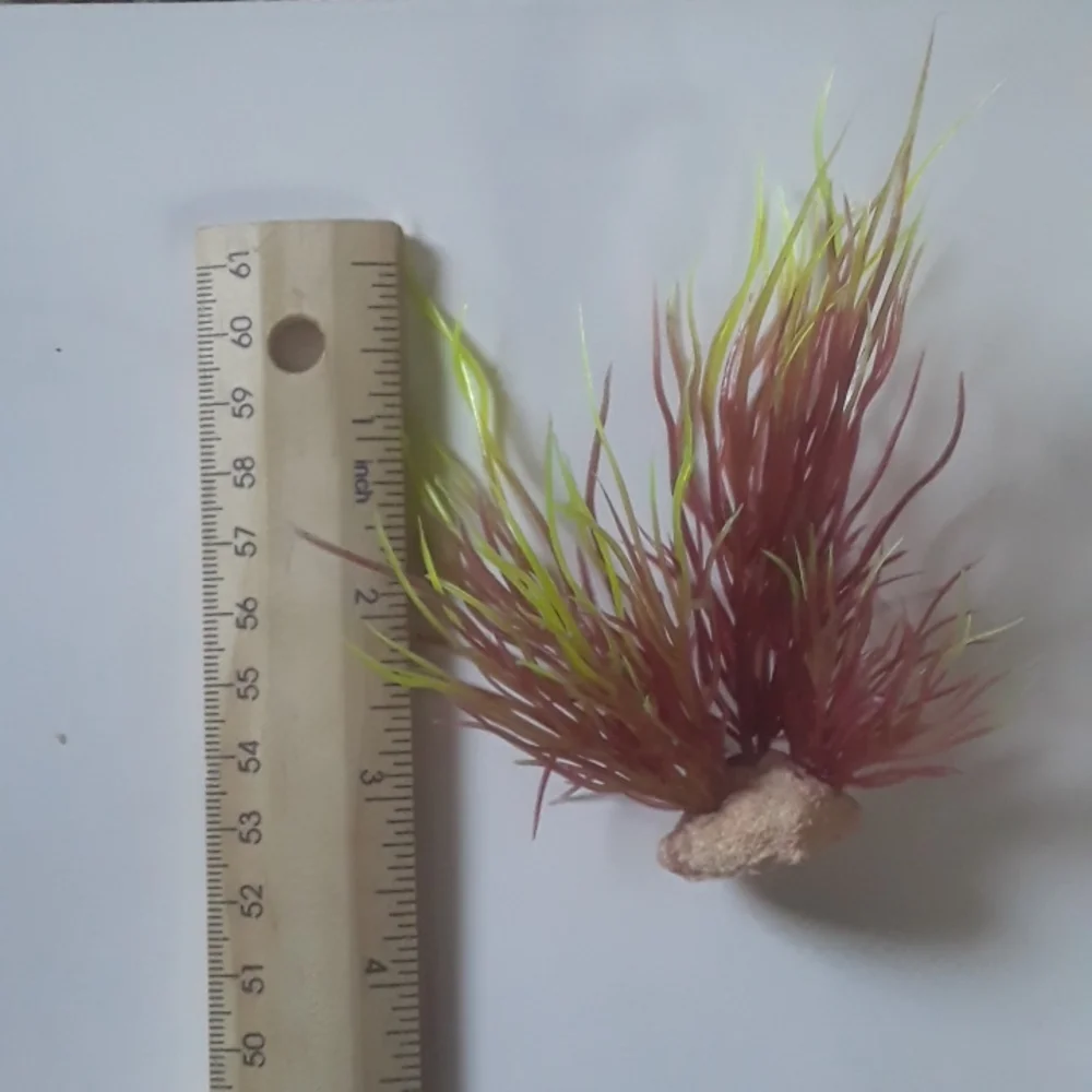 4pc Aquarium Plants